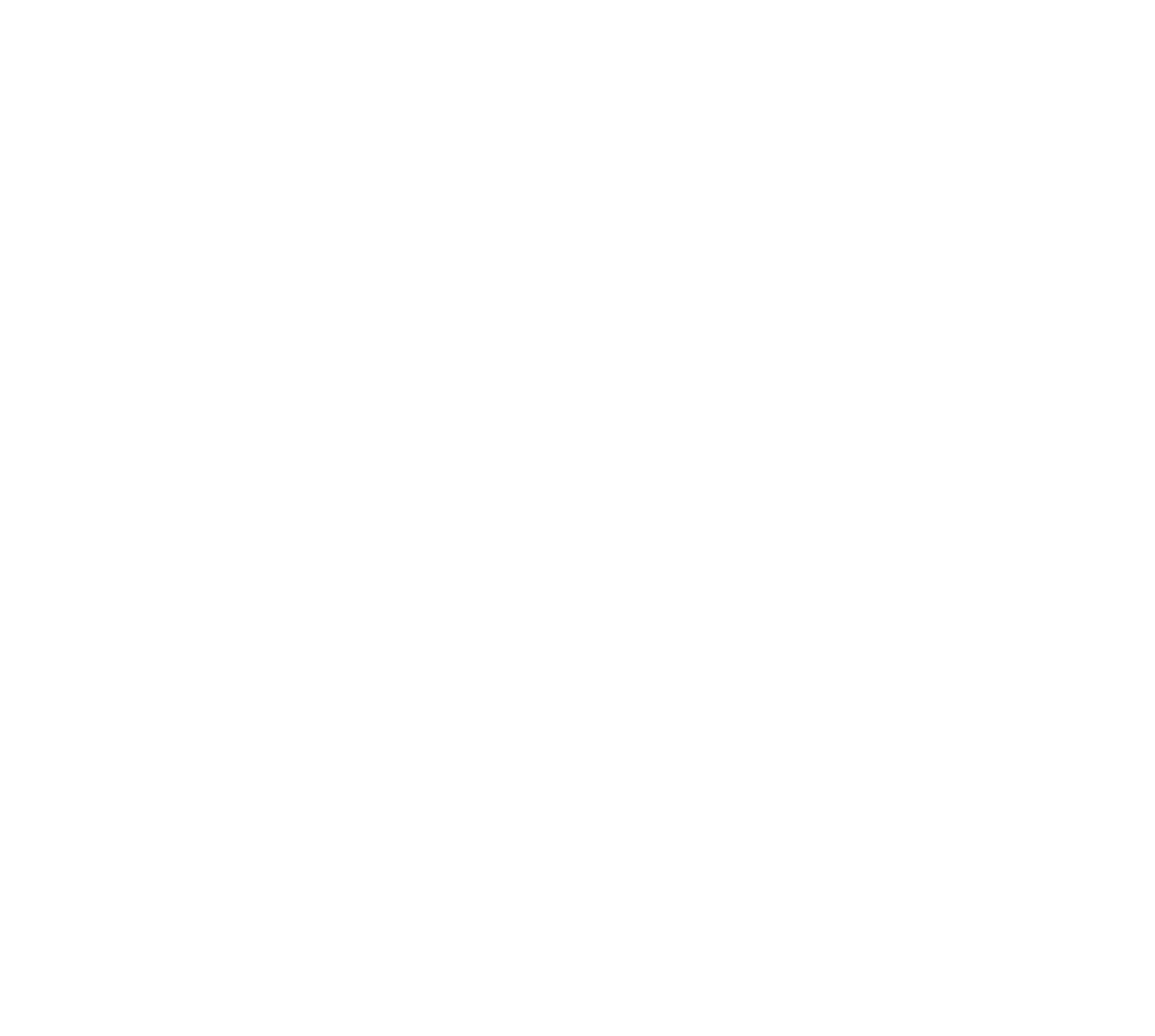 Preston Ventures company logo in white